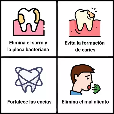 Limpiador Dental Irrigador