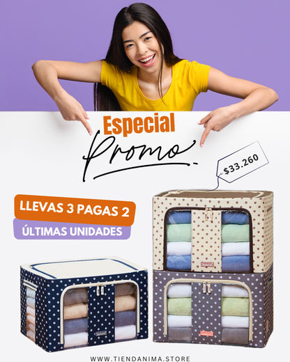 ORGANIZADOR PREMIUM PLEGABLE