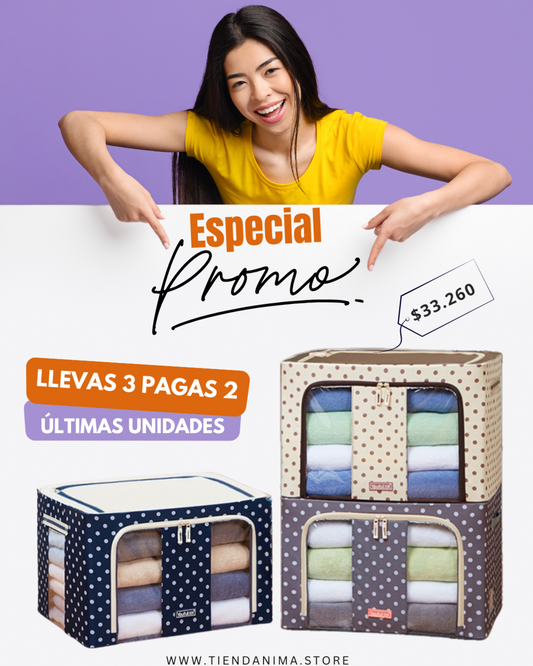 ORGANIZADOR PREMIUM PLEGABLE